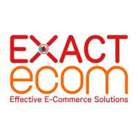 E-Commerce Executive